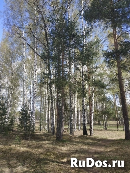 Продам дом 220 м2 изображение 10