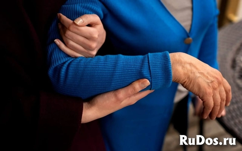 Франшиза пансионатов “Добро” фото