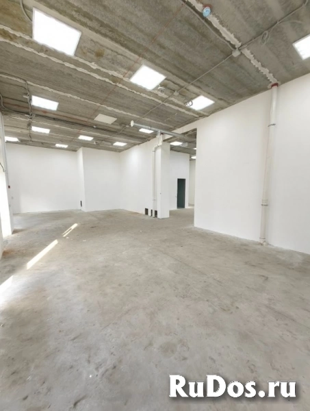 Помещение 140 м², два зала изображение 10
