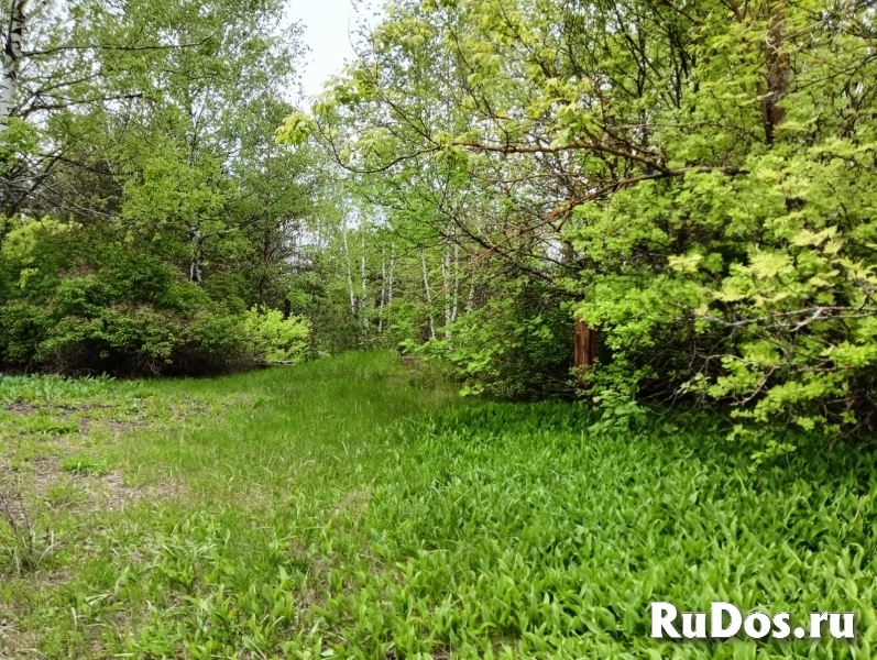 Продам коммерческую недвижимость 103 м2 изображение 6
