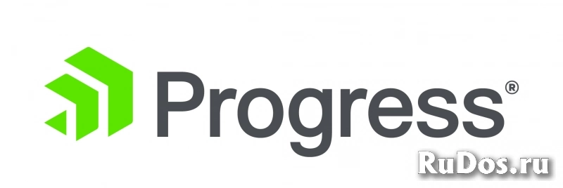 Progress Software Telerik UI for Blazor Developer License фото