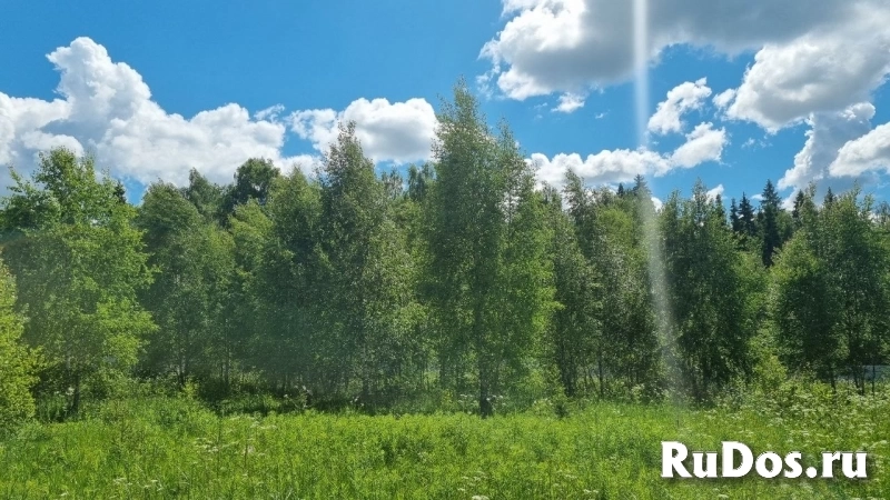 Ровный участок рядом с водой изображение 6