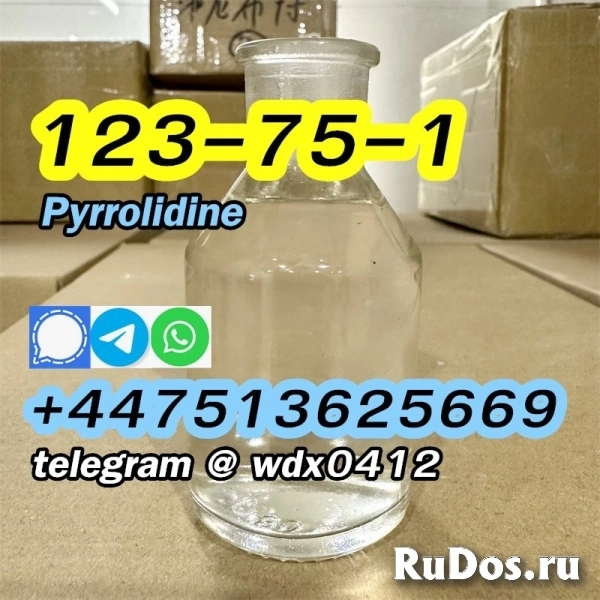 Buy China Factory Pyrrolidine, cas 123-75-1, Kazakhstan, Russia изображение 9