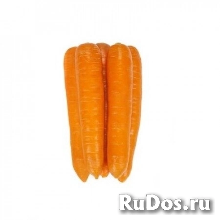 Морковь фидра F1 2,0-2,2 (25 000 семян) Rijk Zwaan фото