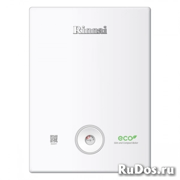 Газовый котел Rinnai BR-R30 двухконтурный фото