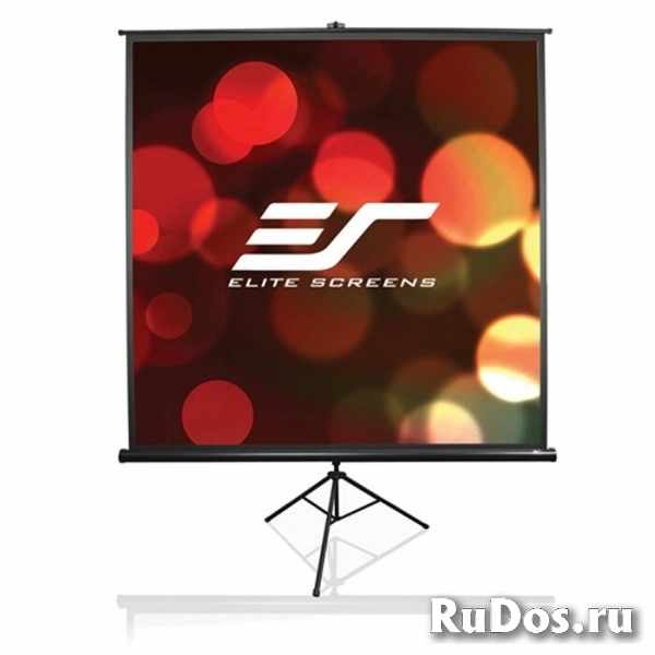 Elite Screens 203x203см Tripod, 1:1, рулонный фото