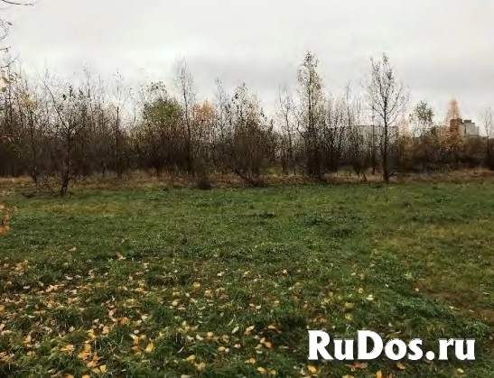 Продам участок 692 сот. изображение 3