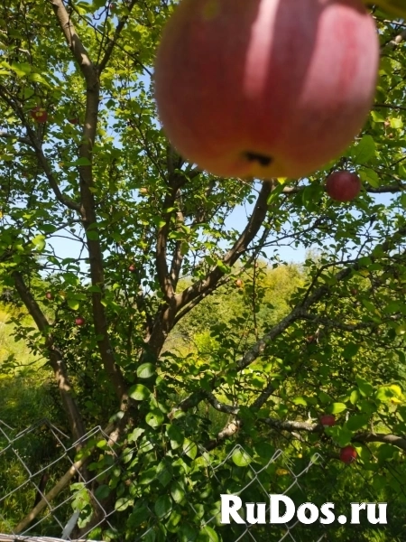 Продам дом 45 м2 изображение 10