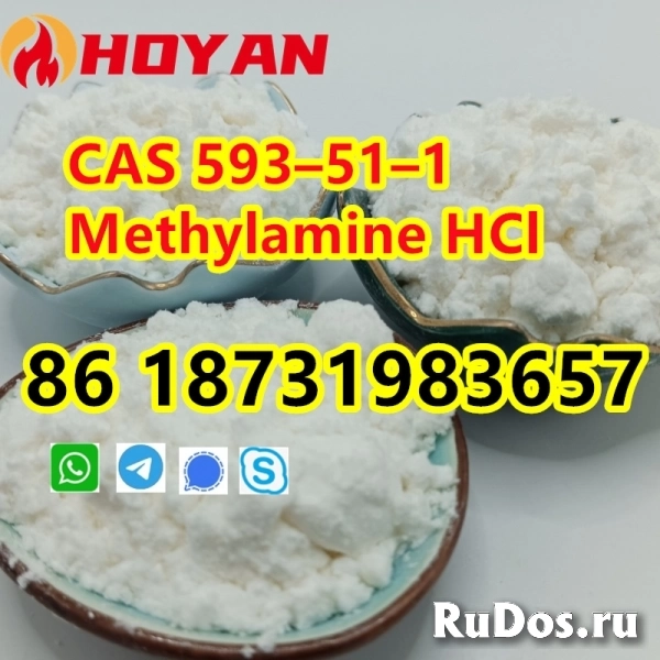 CAS 593–51–1 Methylamine HCl powder фото