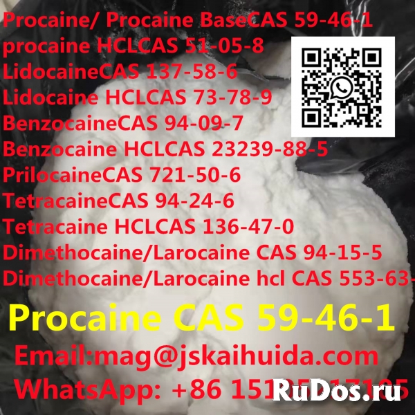 High Purity Procaine base CAS 59-46-1 with Best Price фото