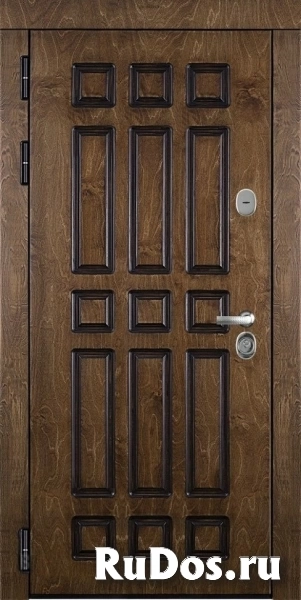 Входная металлическая дверь Regidoors Базилика (980х2050 Левая (Петли слева)) фото