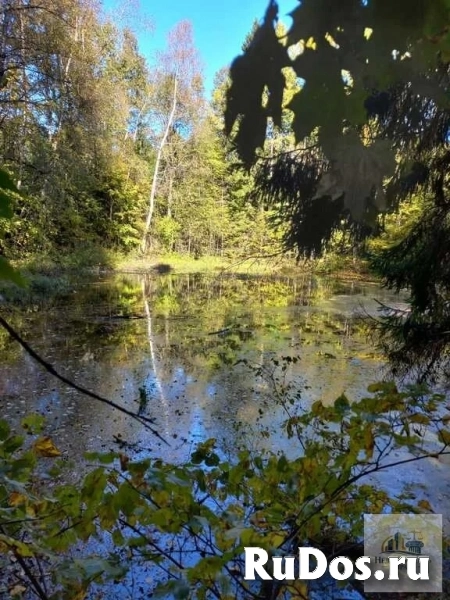 Продам коммерческую недвижимость 100 сот изображение 4