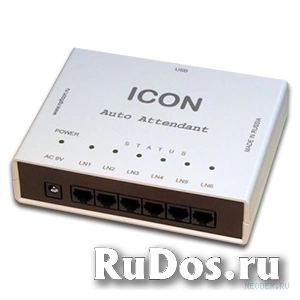 ICON AA453USB автосекретарь ( IC-AA453USB ) фото