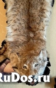 , частное объявление фотка