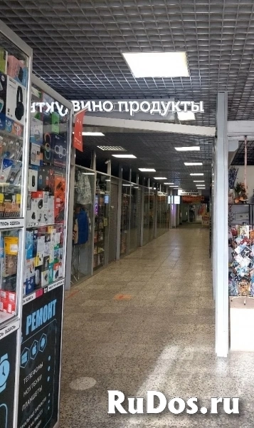 Ломоносов фотка