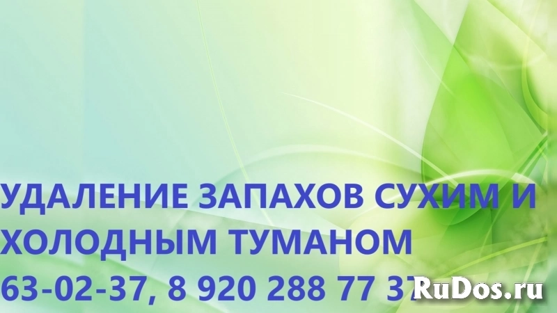 Уничтожение неприятного запаха после смерти человека изображение 5