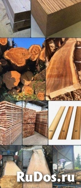 Бук, дуб, ясень, акация,карагач, клен, орех оптом. изображение 5