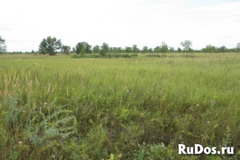 Продам участок 4500 сот. фотка