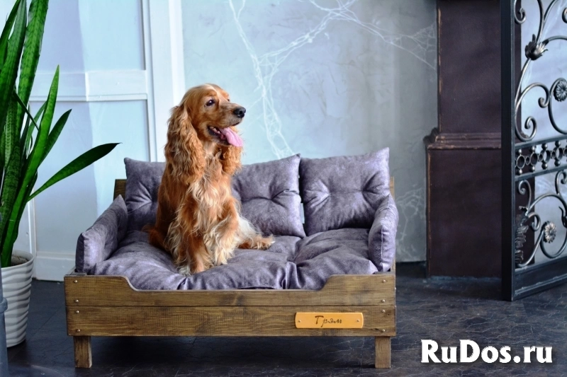 Диван для собак и кошек 85х60 см Именной Диван для собак и кошек 85х60 см Именной фото