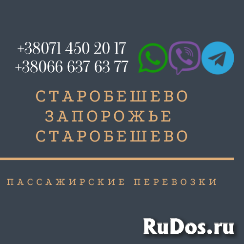 Автобус Старобешево Запорожье Заказать Старобешево Запорожье фотка