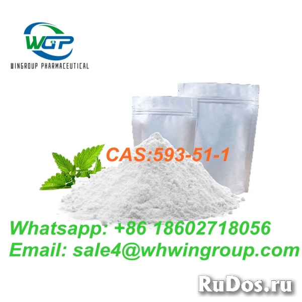 Fast Delivery Pure 99% Methylamine Hydrochloride CAS 593-51-1 изображение 4