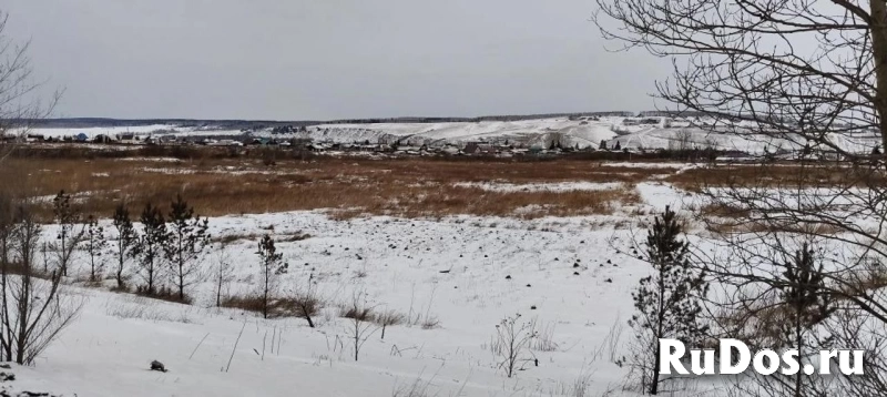 Продам участок 1980.2 сот. изображение 4