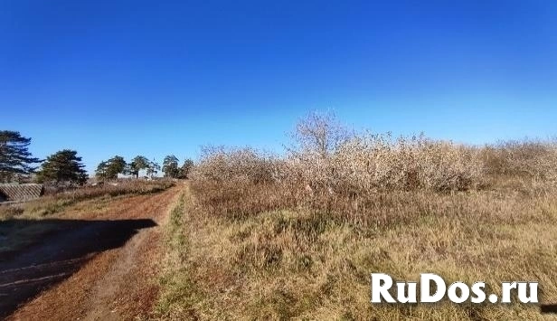 Продам коммерческую недвижимость 127.9 сот изображение 10