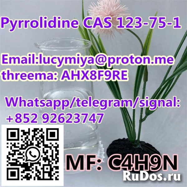 Pyrrolidine CAS 123-75-1 изображение 6