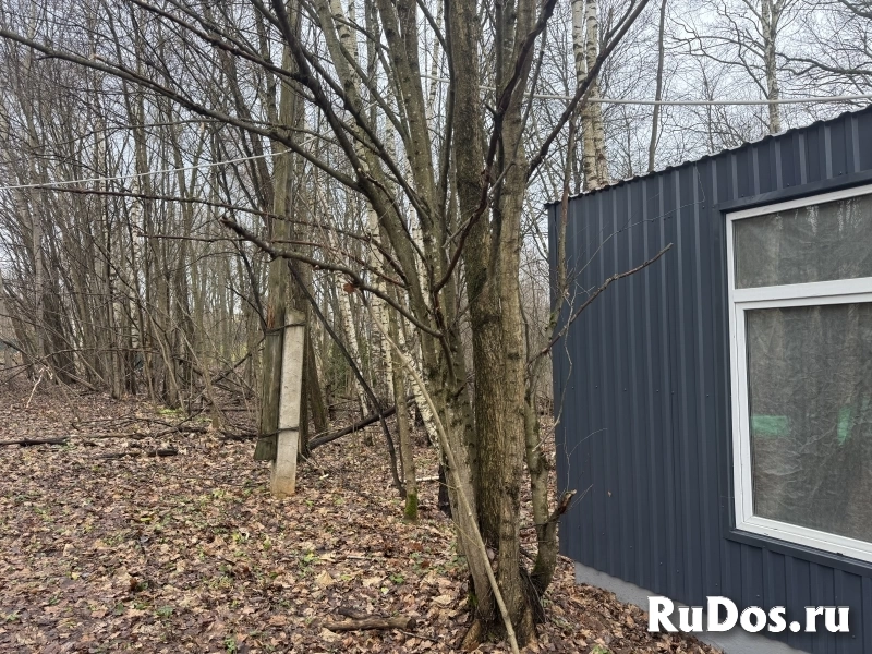 Живописный участок Истра изображение 10