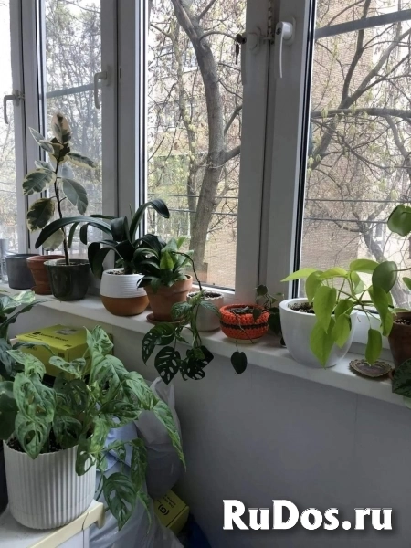 Продам 1 комнатную квартиру 34 м2 изображение 6