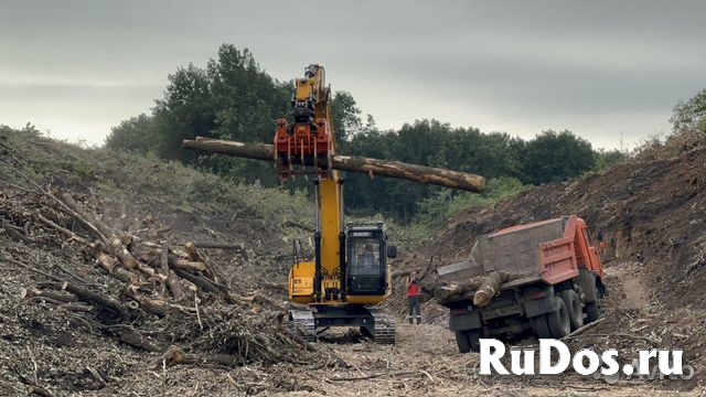 Корчевание, выкорчевка деревьев и пней фотка