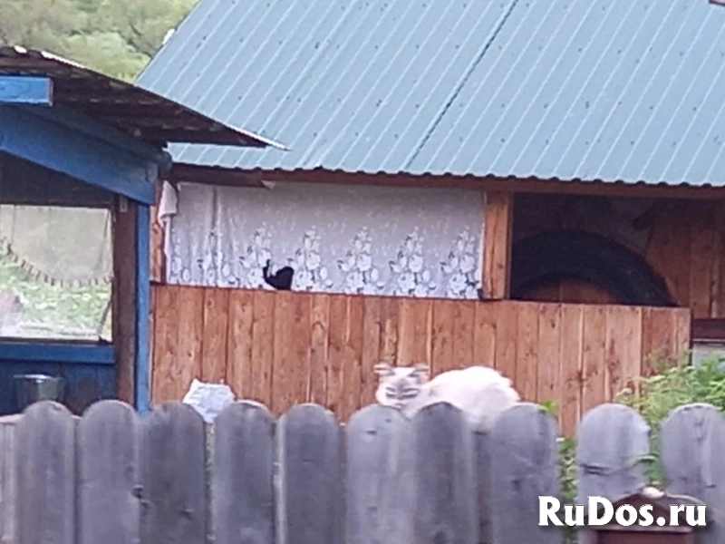 Продам дом изображение 4