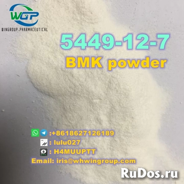 New BMK Powder CAS 5449-12-7 with Fast Delivery in Stock фото