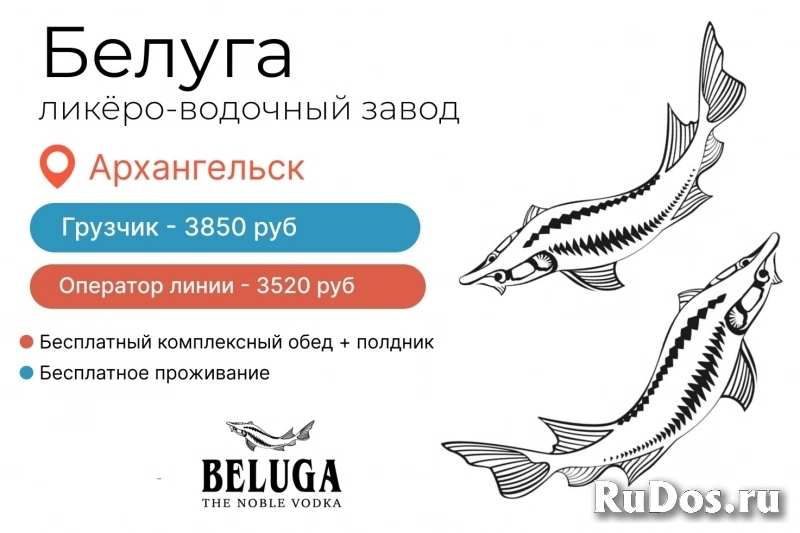 Разнорабочий на завод. Вахта от 30 смен фото