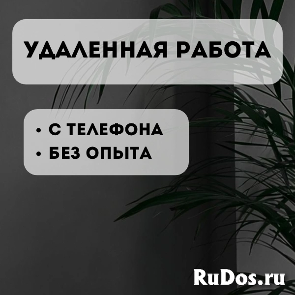 Менеджер по работе с клиентами удалённо фото