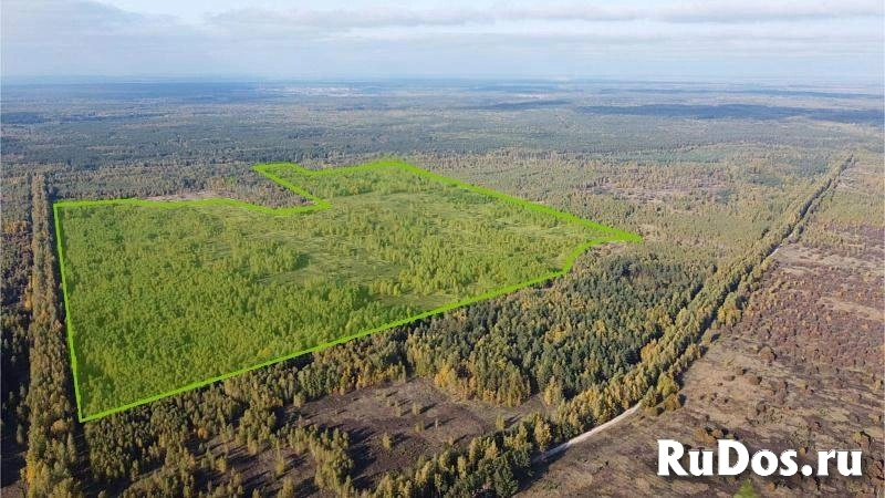 Продам участок 7550 сот. изображение 3