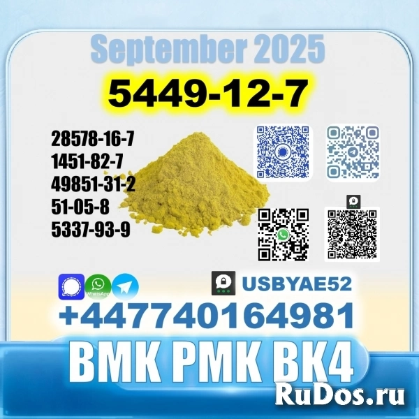 BMK glycidic acid 5449-12-7 PMK Source factory картинка 8 BMK glycidic acid 5449-12-7 PMK Source factory изображение 8