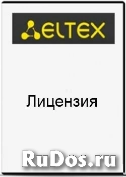 Лицензия ELTEX ESR-BRAS-L на ПО для маршрутизаторов серии ESR фото