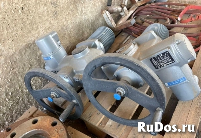 Покупаю все виды данфоса изображение 3