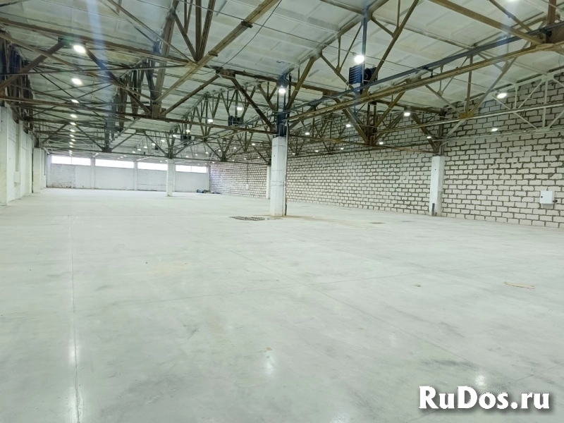 Сдам коммерческую недвижимость 540 м2 изображение 7