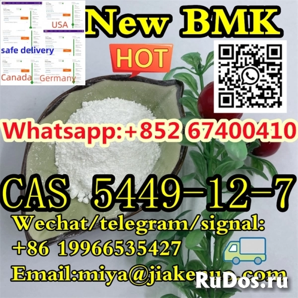 CAS 5449-12-7 New BMK Acid (sodium salt) фото