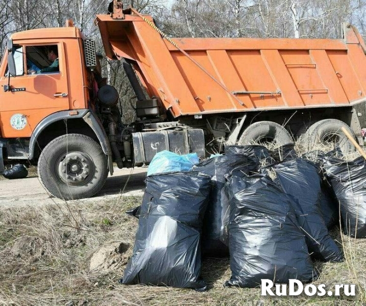 Услуги по вывозу мусора цена от 2500 рублей изображение 3