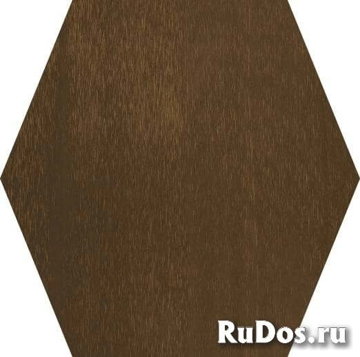 Керамогранит Cedit Metamorfosi Ottone Brunito Esagono 24x35 фото