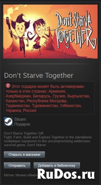 Продам игру Don't Starve Together в Steam фото