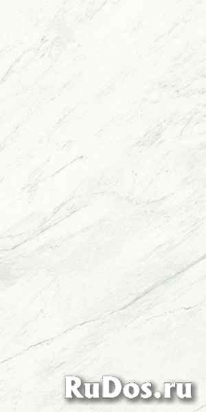 Керамогранит Graniti Fiandre Marmi Premium White Satin 150x300 фото