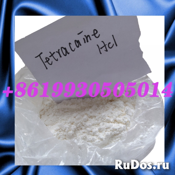 Tetracaine manufacturer CAS 94-24-6 Tetracaine hcl / base фотка