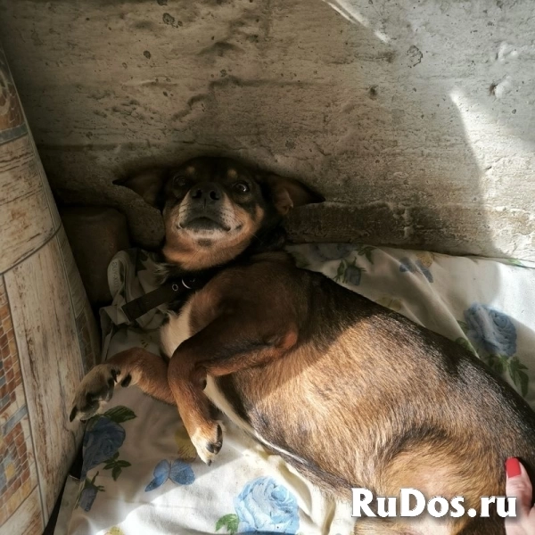 Чудесный мальчик Митя из приюта ищет семью. изображение 6