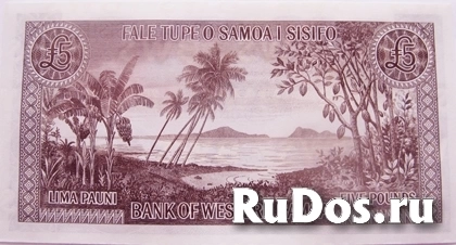 Банкнота Западного Самоа фотка