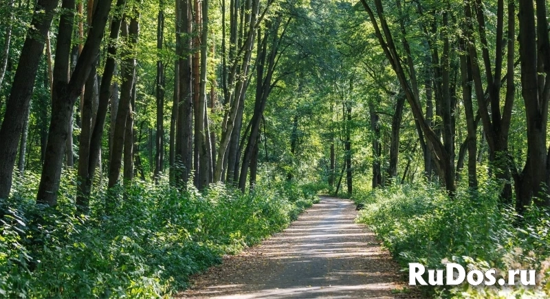 Продам коммерческую недвижимость 82.2 м2 изображение 8