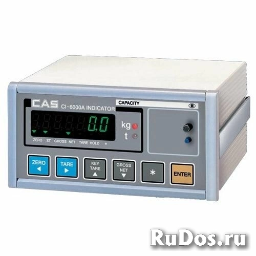 Индикатор CAS CI 6000 A1 фото